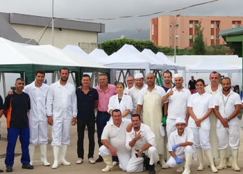 7 1 11 La Ciudad habilitará cinco puntos de sacrificio para la fiesta del Aid El Kebir