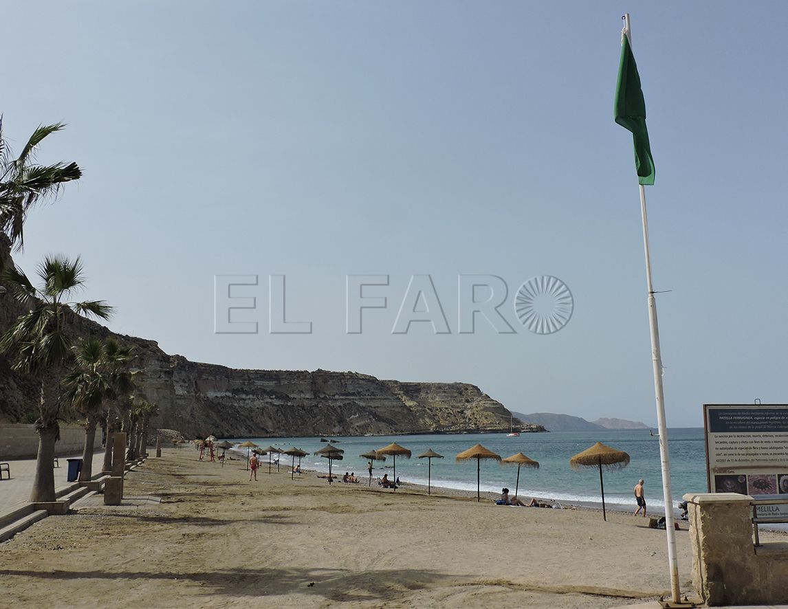 El Ejército confirma que no hay escorpiones en su zona de Horcas