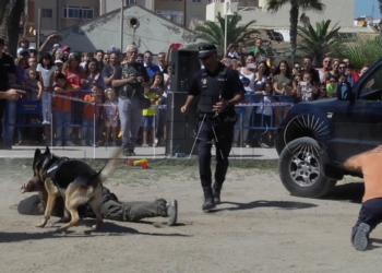 14 1 4 Guardianes de la seguridad