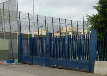 15 1 4 Acsemel propone que sus voluntarios ayuden a ordenar colas en la frontera