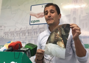 12 1 7 CpM pregunta si hay medidas para que no traten de colar animales por la frontera
