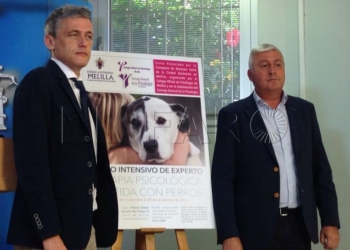 Bienestar Social destina 12.000 euros a un curso de terapia psicológica con perros