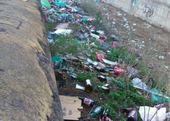 18 2 Guelaya Ecologistas en Acción limpiará mañana el arroyo Mezquita
