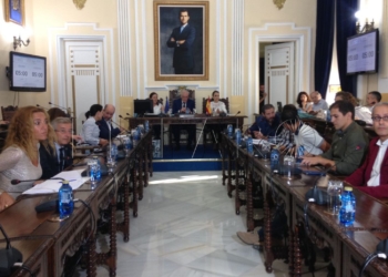 2 1 10 La Asamblea, con la oposición en contra, da luz verde a unas cuentas de 2016 con menos deuda