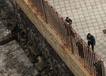 3 1 16 Los menores en tratamiento por rabia no residen en el centro pero sí reciben las vacunas
