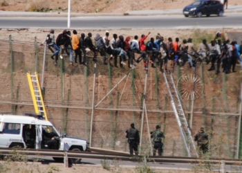 5 1 3 CEAR recoge firmas para que se elimine la enmienda que regula los rechazos en frontera