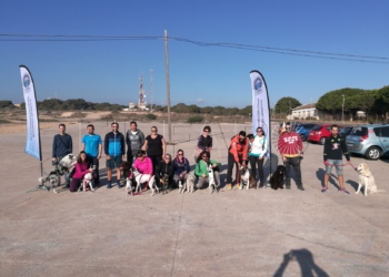 WhatsApp Image 2017 11 19 at 13.42.37 Unas 20 personas participan con sus perros en una ‘dogtrail’ en los pinos de Rostrogordo