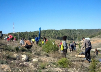 plantación de Helianthemum y Cistus en la ZEC del Nano 2 Guelaya enseñará su vivero a los alumnos del Lope de Vega de Nador