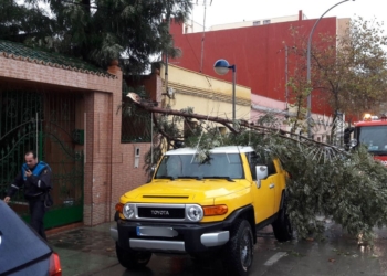 11 1 5 Bomberos y Policía Local atienden más de 20 incidencias a causa del temporal