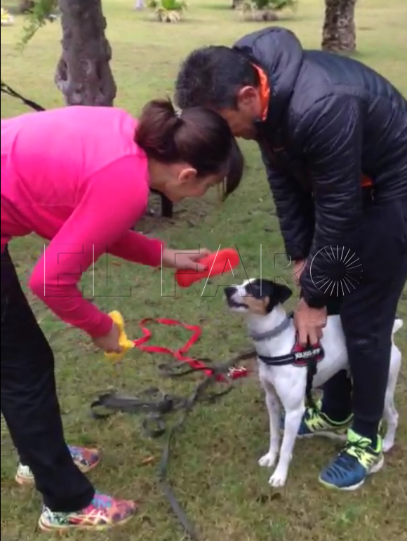 La Asociación de Excursionismo Canino hace un taller de búsqueda de personas con 10 perros