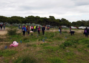16 1 Guelaya organiza una plantación solidaria con el Banco de Alimentos