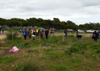 IMG 9669 Guelaya prepara una segunda edición de su plantación solidaria con el Banco de Alimentos
