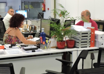 13 1 1 PP: “Disminuye el desempleo porque se han sentado las bases para crear trabajos”