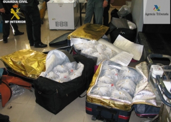intervencion guardia civil angulas Intervienen más de 100 kilos de una especie en peligro de extinción en maletas y bolsos