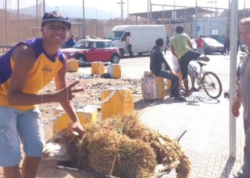 8 1 13 El paso de borregos de Marruecos a Melilla, permitido para el Aid El Kebir 2018