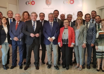 Senado Imbroda: “Con la bonificación del 75% hacemos a España más igualitaria”