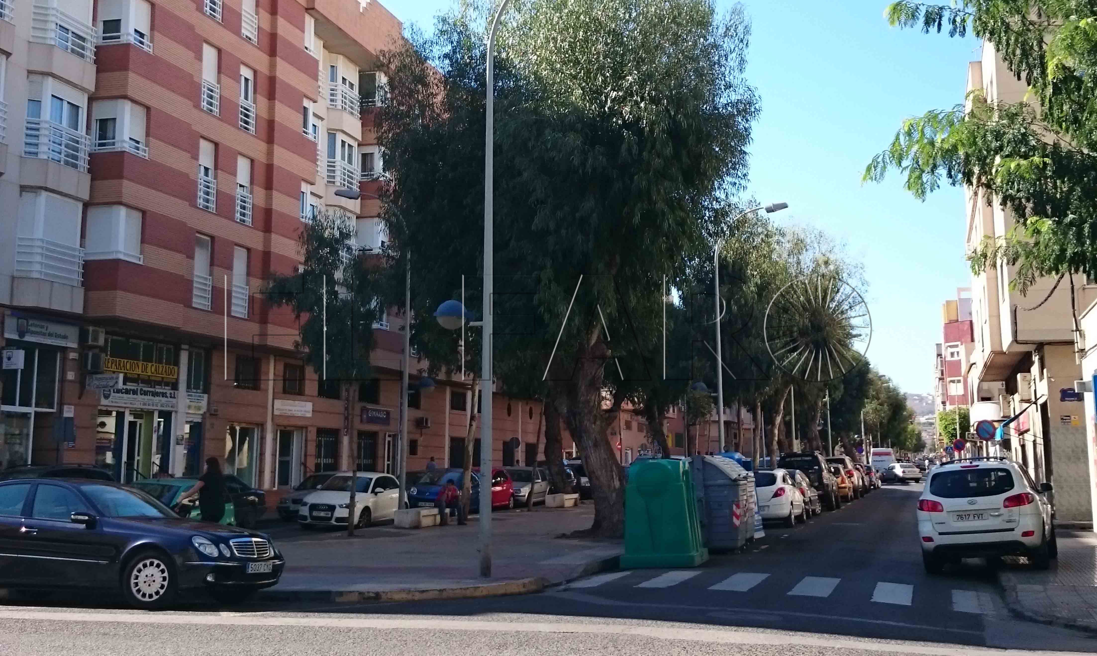 Medio Ambiente niega el aumento de tráfico en el Real y presume de mejoras