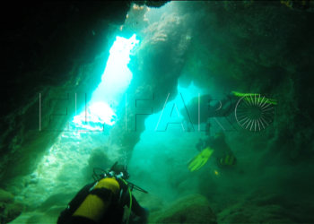1 Curso de buceo '1 estrella': Como pez en el agua de Melilla