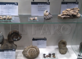 3 2 Familias y estudiantes del Conservatorio Profesional de Música de Melilla visitan el Museo de Fósiles y Minerales