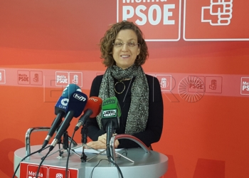 GRojas Rojas dice que las concertinas son ineficaces y que el PSOE cumple con su compromiso