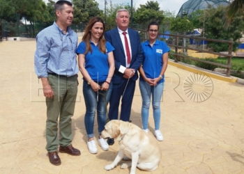 Perro Melilla La Ciudad destina 13.500 euros para el programa de caninoterapia