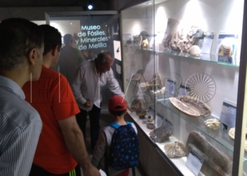 minerales La ampliación en 80-100 metros del Museo de Fósiles dará paso al de Ciencias Naturales