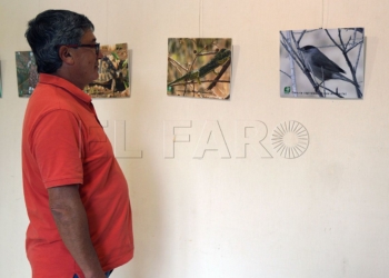 17 2 Inauguran una muestra fotográfica sobre la biodiversidad de Melilla