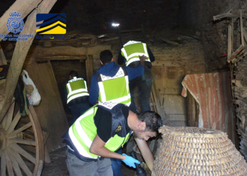 Policia Nacional Europol Operacion policial 1 2 Desarticuladas dos organizaciones dedicadas al tráfico de menores de Marruecos