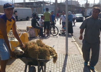 9 01 CpM acusa a Imbroda de estar echándole “un pulso a la comunidad musulmana”