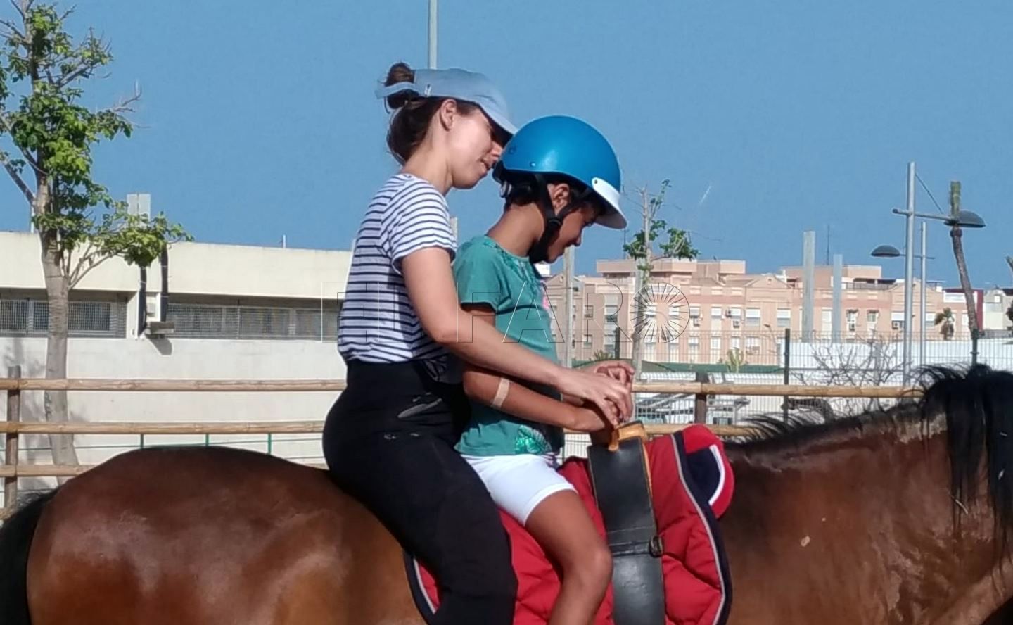 “Se crea un vínculo muy especial con el caballo. Lo cuidan mucho”