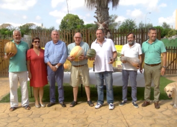 11 Los reyes de las calabazas gigantes