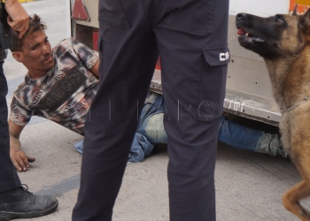 2 1 Interceptan a 69 migrantes ocultos en atracciones y camiones en el marco de la 'Operación Feriante'