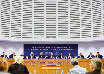 Tribunal Europeo Derechos Humanos España justifica las devoluciones en caliente en el Tribunal Europeo de los Derechos Humanos