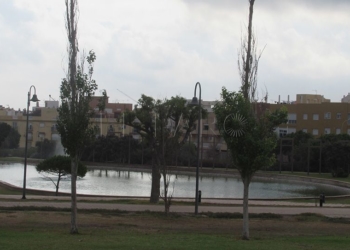 2 20 Cuatro detenidos tras intentar robar ordenadores en el colegio Enrique Soler