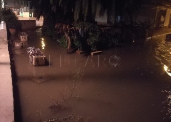 Inundación La lluvia descarga su ‘furia’ en Melilla sobre la protectora de animales