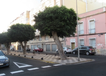 1 9 Conesa dice que la Ciudad intentará erradicar la prostitución del Real “dentro de lo posible”