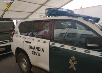 WhatsApp Image 2018 11 05 at 13.45.41 1 Entran seis migrantes en dos saltos a la valla de Melilla: tres agentes resultaron heridos