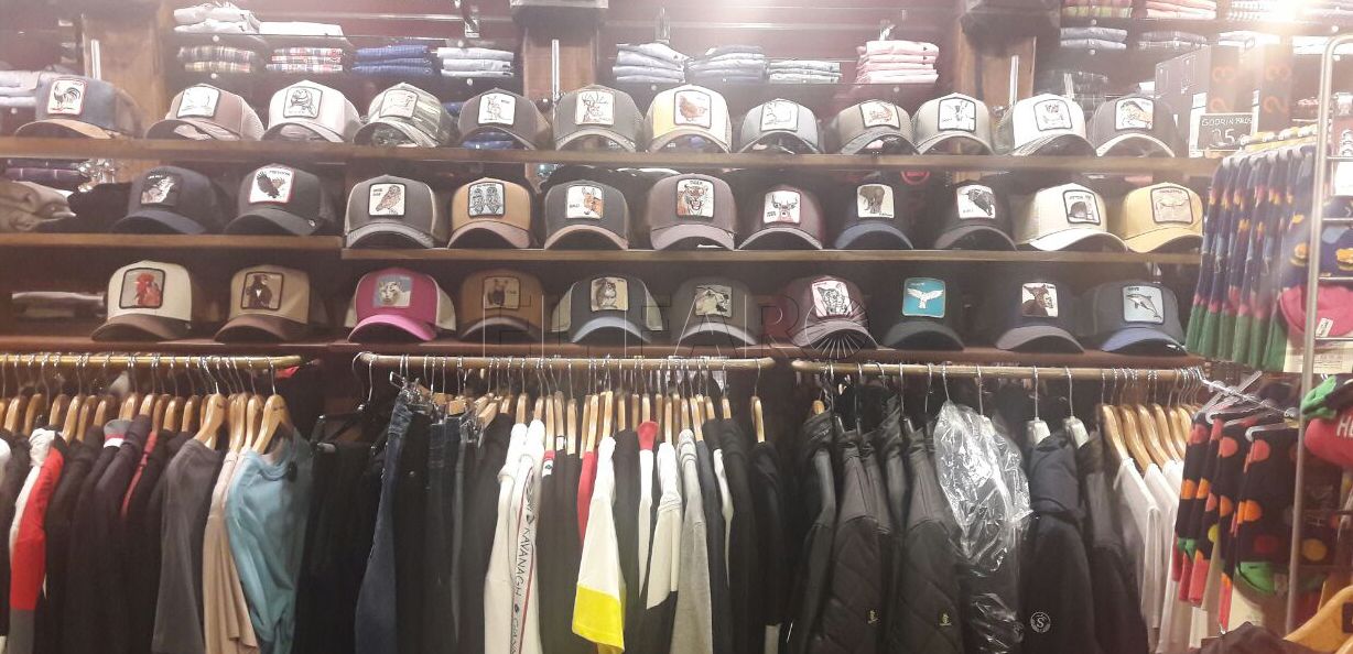 Variedad en moda masculina