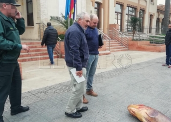 contra foto Un mero encuentra a su dueño, tras caer de una furgoneta