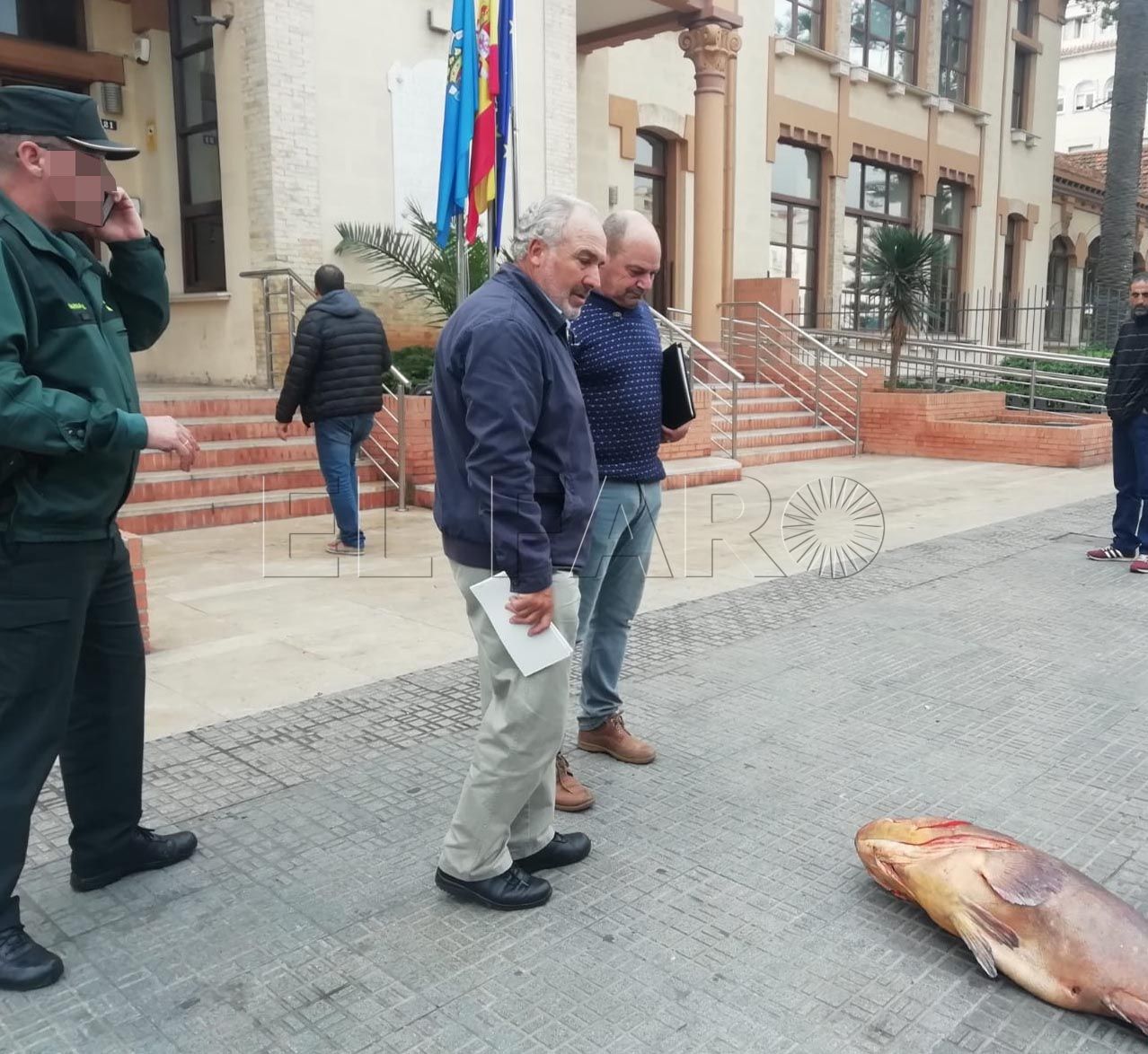 Un mero encuentra a su dueño, tras caer de una furgoneta