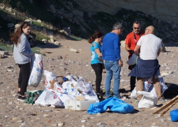 guelaya Primer análisis de residuos provenientes del mar