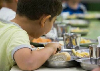 Piden más enfermeras en los colegios para terminar con la obesidad infantil