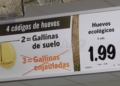 lidl melilla 11 Lidl, 8 años ofreciendo los mejores precios y la mejor calidad en Melilla