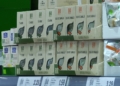 lidl melilla 16 Lidl, 8 años ofreciendo los mejores precios y la mejor calidad en Melilla