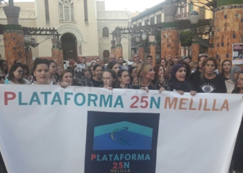 photo5870995031643500125 La Plataforma 25N convoca una concentración para mañana bajo el lema ‘Ni un paso atrás’