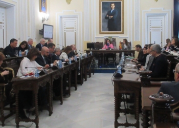 4 1 1 El cambio en la Ley del Menor y del Código Civil, a debate en el pleno