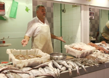 5 2 ¿Pulso a Marruecos?