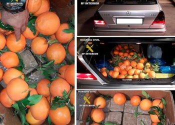 melilla hachis naranjas La Guardia Civil interviene más de 8 kg de hachís ocultos entre naranjas en la frontera de Melilla
