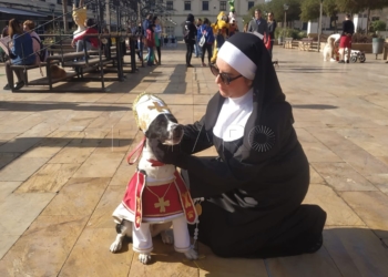 perro humillado El obispo perruno gana en el Carnaval