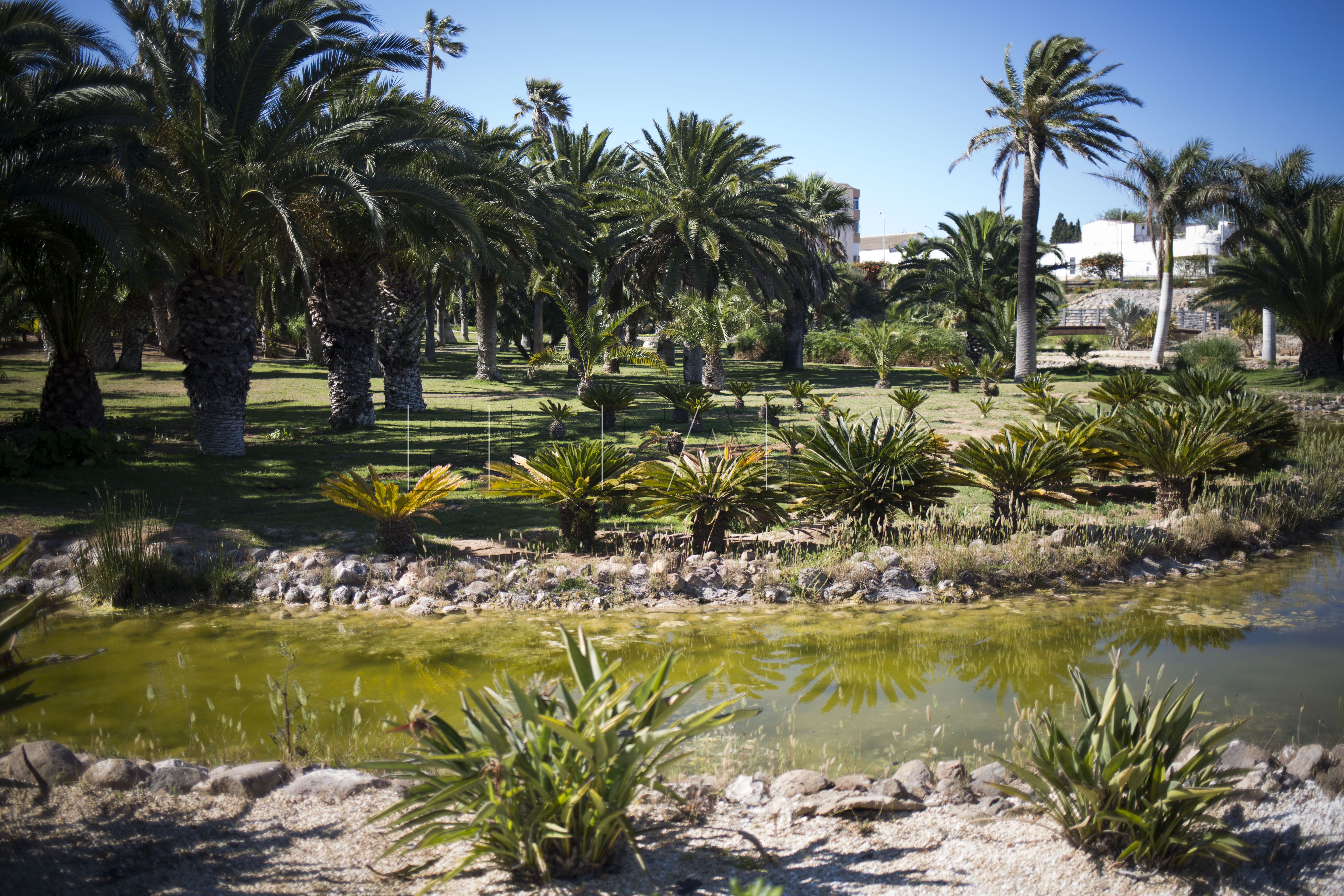 Jardines como nunca